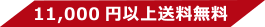 11000円以上送料無料